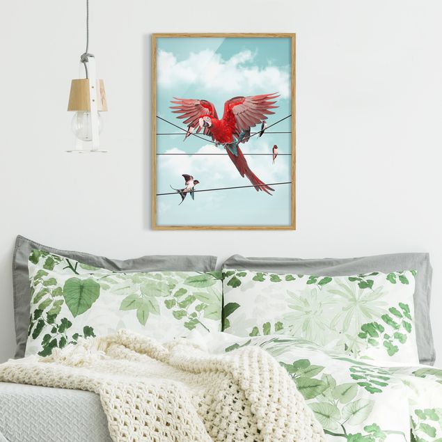 Framed poster - Sky With Birds