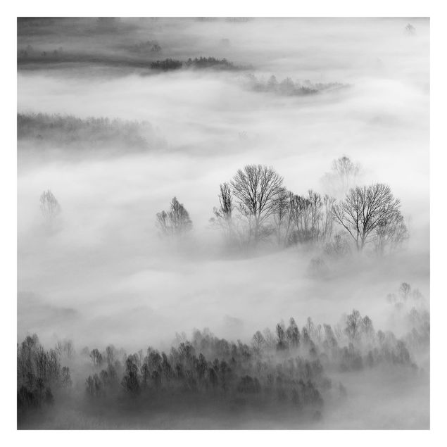 Adhesive wallpaper forest - Fog At Sunrise Black And White