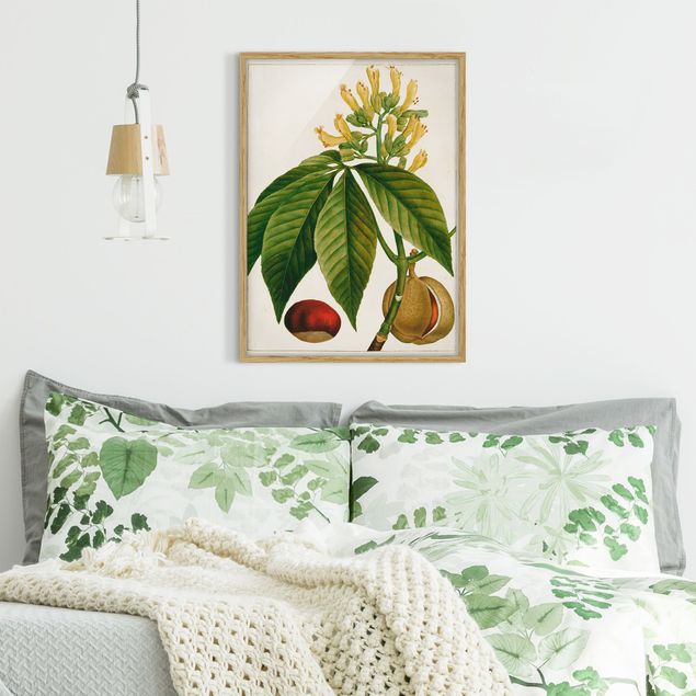 Framed poster - Tableau Leaf Flower Fruit VI
