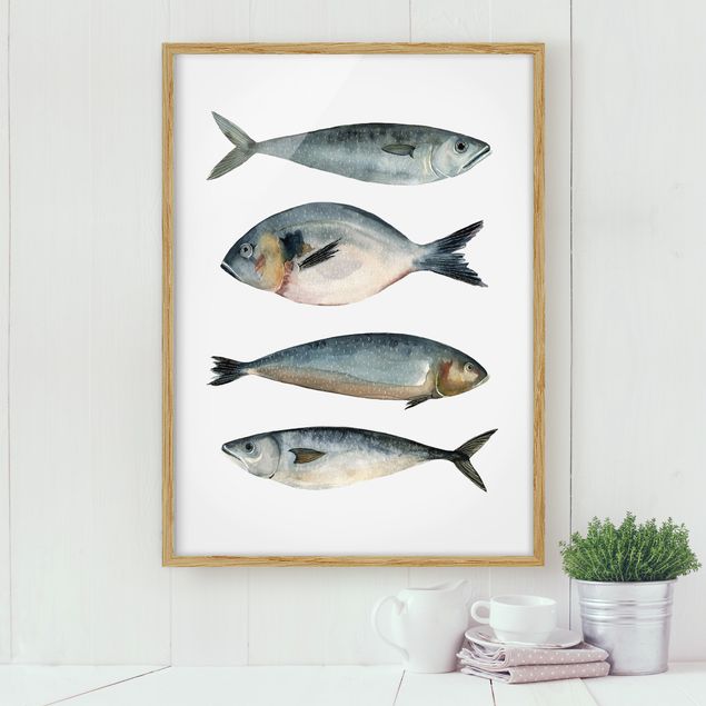 Framed poster - Four Fish In Watercolour II