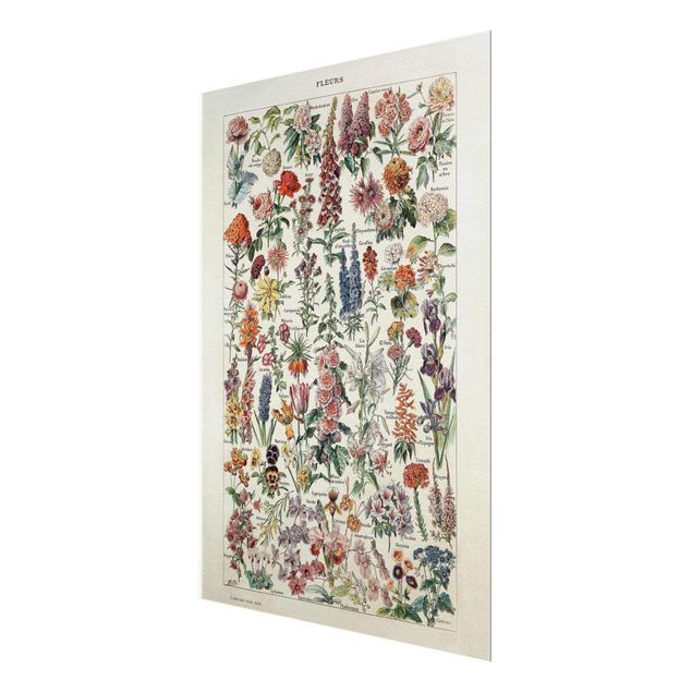 Glass print - Vintage Board Flowers V