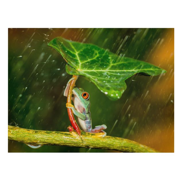 Print on canvas - Frog In The Rain