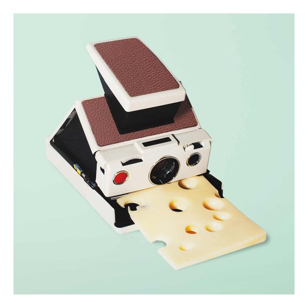 Glass print - Camera With Cheese