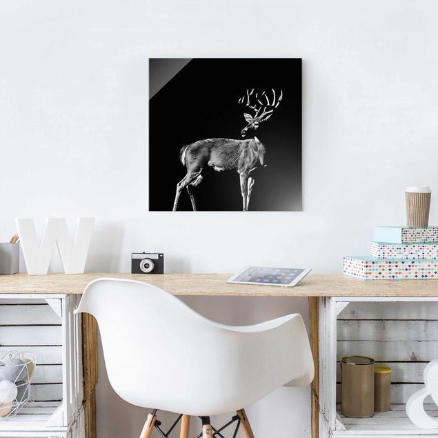 Glass print - Deer In The Dark