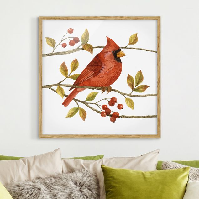 Framed poster - Birds And Berries - Northern Cardinal