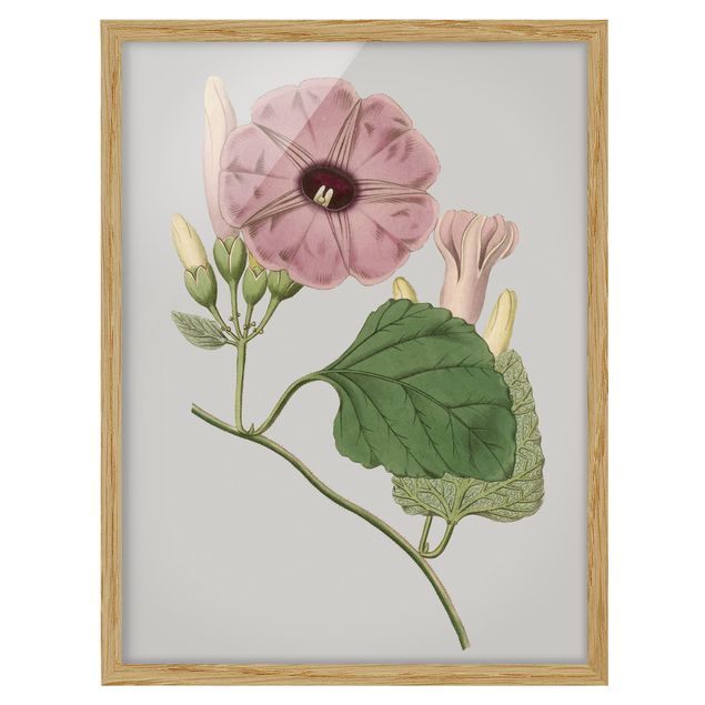 Framed poster - Floral Jewelry III