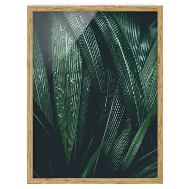 Framed poster - Green Palm Leaves