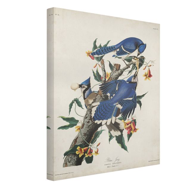Print on canvas - Vintage Board Blue Jays