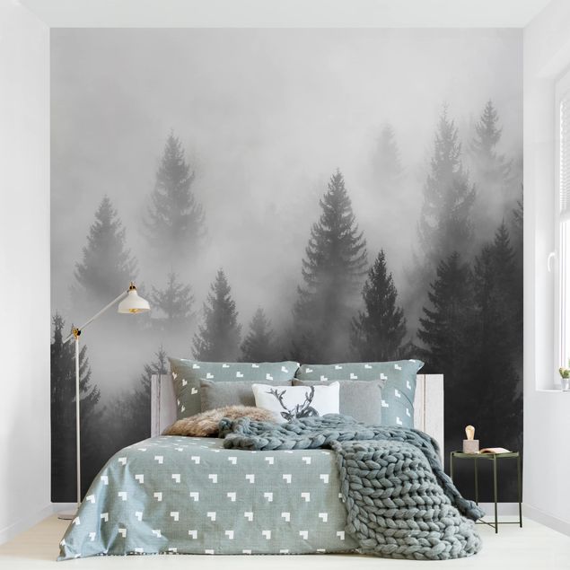 Adhesive wallpaper forest - Coniferous Forest In The Fog Black And White