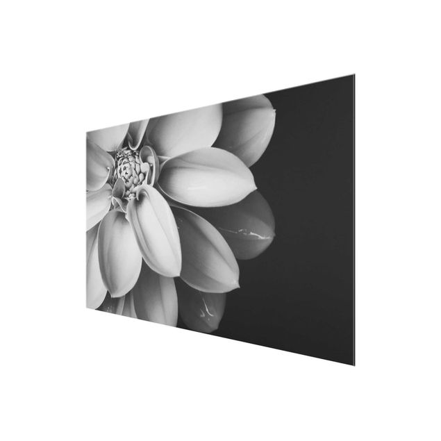 Glass print - In The Heart Of A Dahlia Black And White