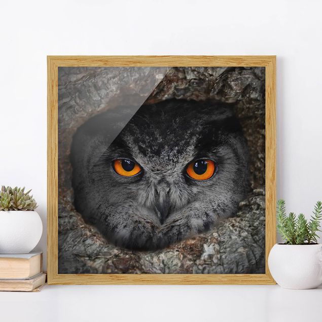 Framed poster - Watching Owl