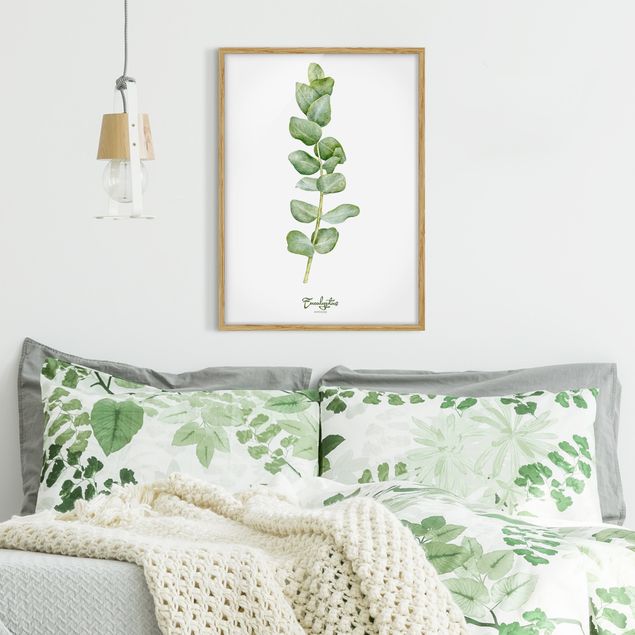 Framed poster - Watercolour Botany Eucalyptus