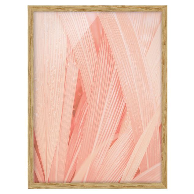 Framed poster - Palm Leaves Light Pink