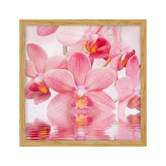 Framed poster - Light Pink Orchid On Water