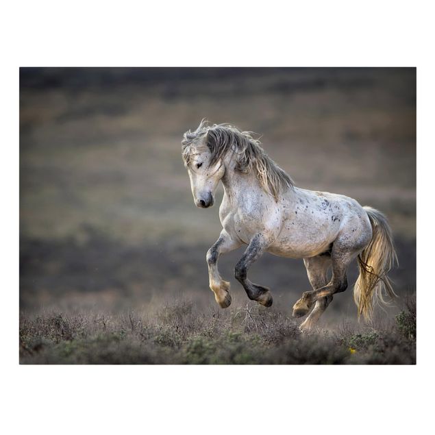 Print on canvas - Galloping Through The Heather