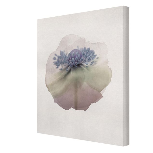 Canvas print - WaterColours - Anemone In Violet