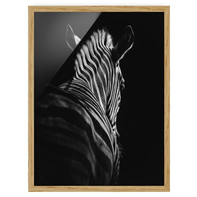 Framed poster - Dark Zebra Silhouette