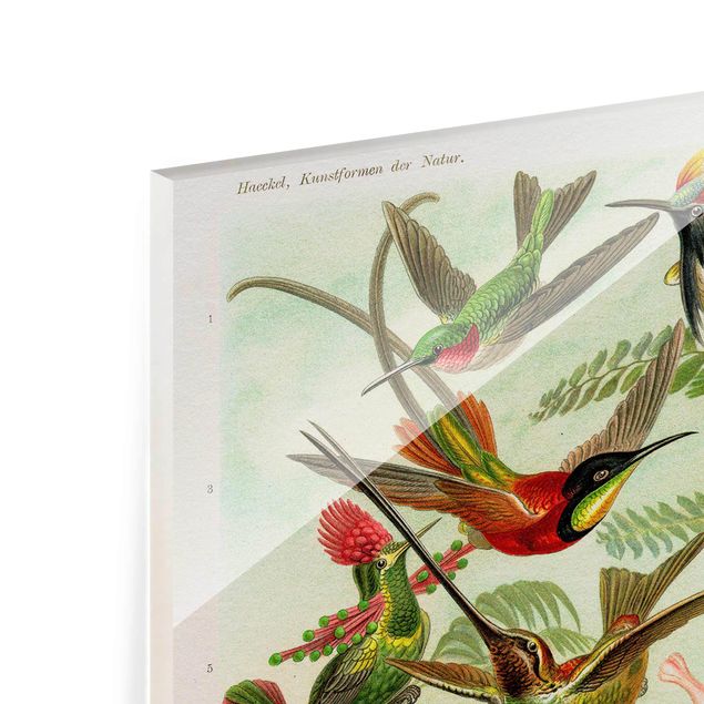 Glass print - Vintage Board Hummingbirds