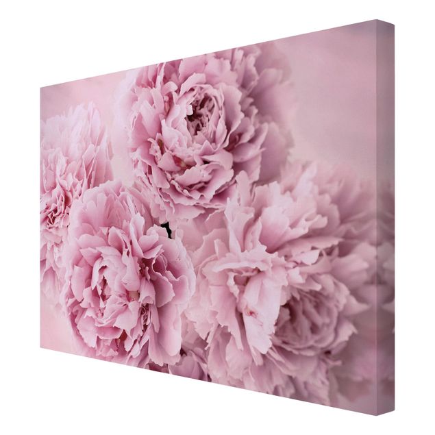 Canvas print - Pink Peonies