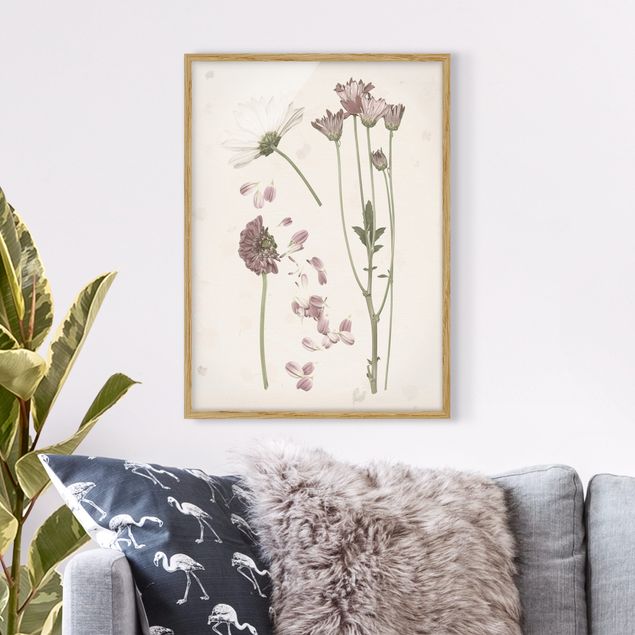 Framed poster - Herbarium In Pink II