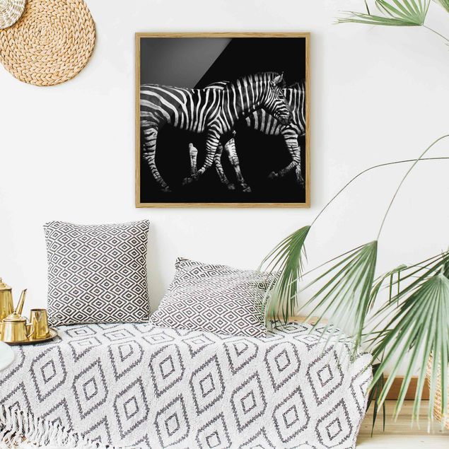 Framed poster - Zebra In The Dark
