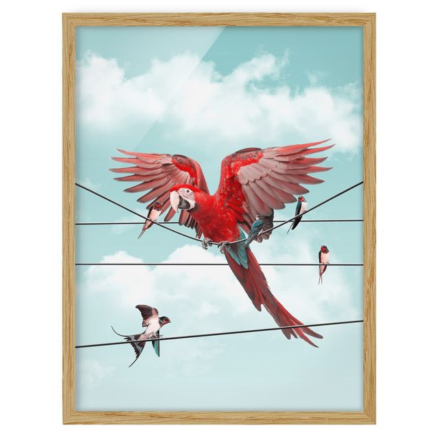 Framed poster - Sky With Birds