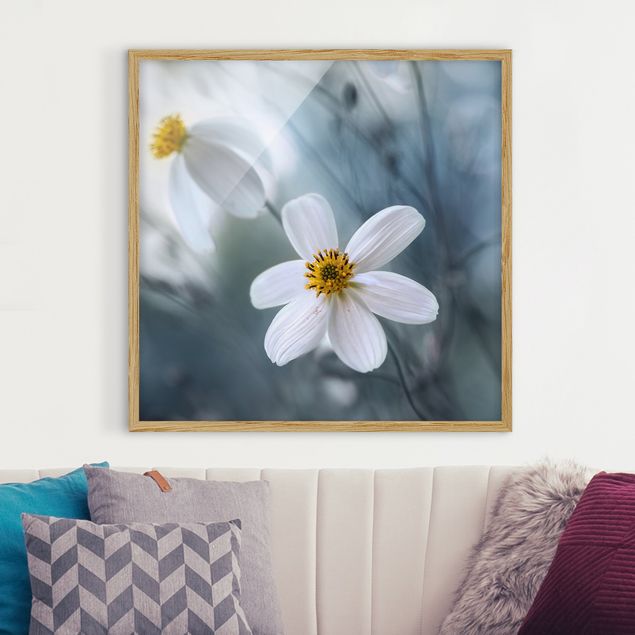 Framed poster - Cosmos in Pastels