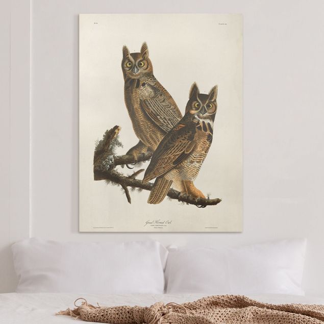 Print on canvas - Vintage Board Two Large Owls