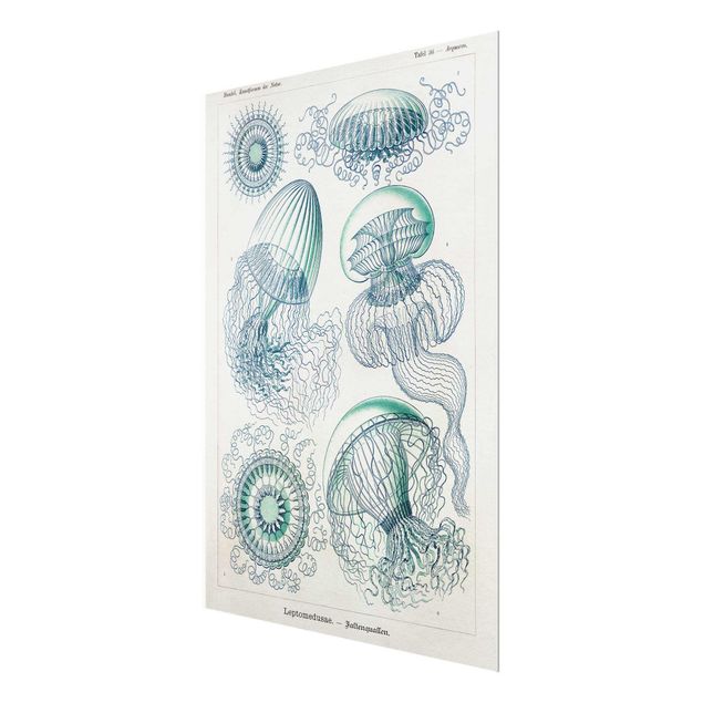 Glass print - Vintage Board Jellyfish In Blue
