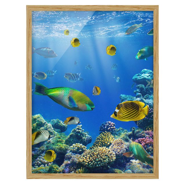 Framed poster - Underwater Lights