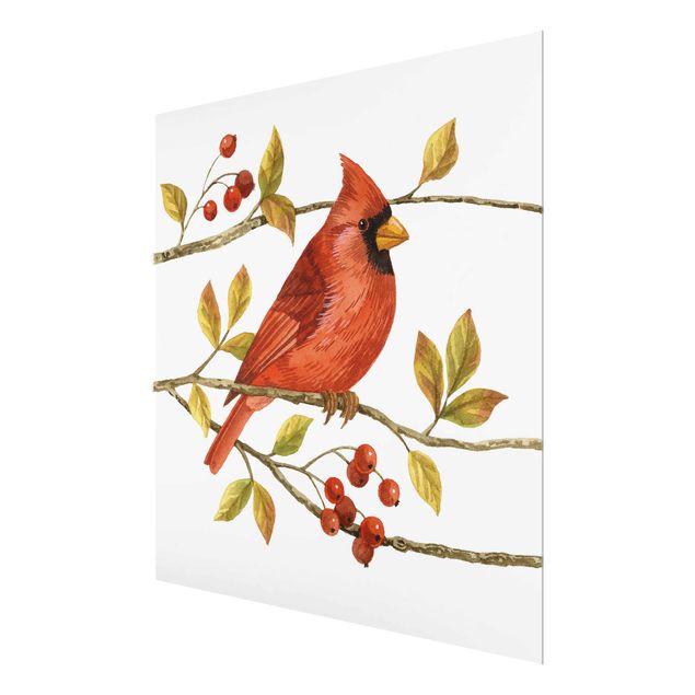 Glass print - Birds And Berries - Northern Cardinal