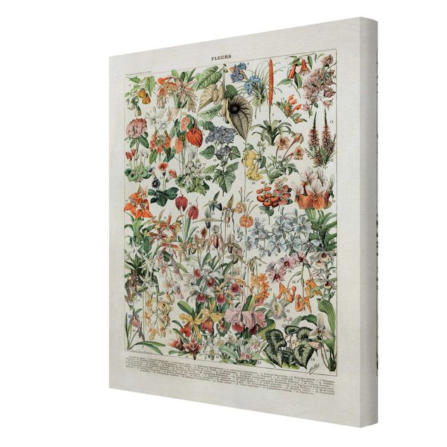 Print on canvas - Vintage Board Flowers III