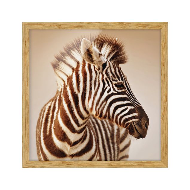 Framed poster - Zebra Baby Portrait