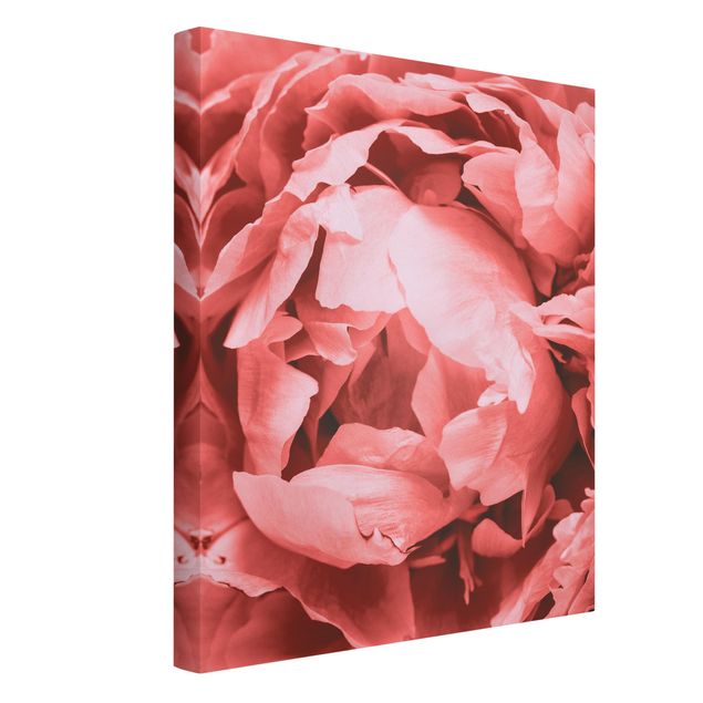 Canvas print - Peony Blossom Coral