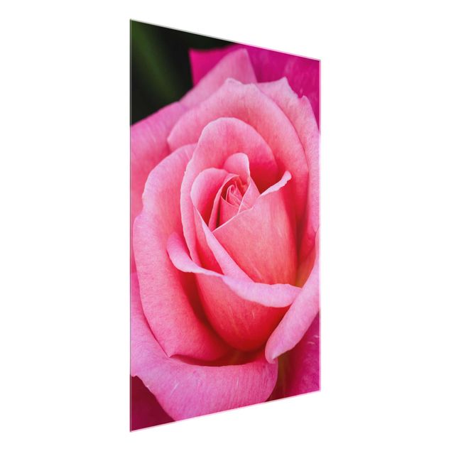 Glass print - Pink Rose Flowers Green Backdrop