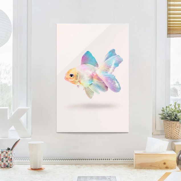 Glas Magnettafel Fish In Pastel