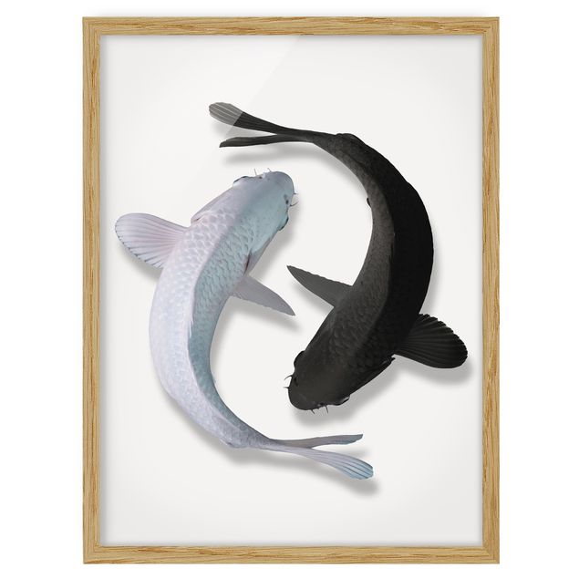 Framed poster - Fish Ying Yang