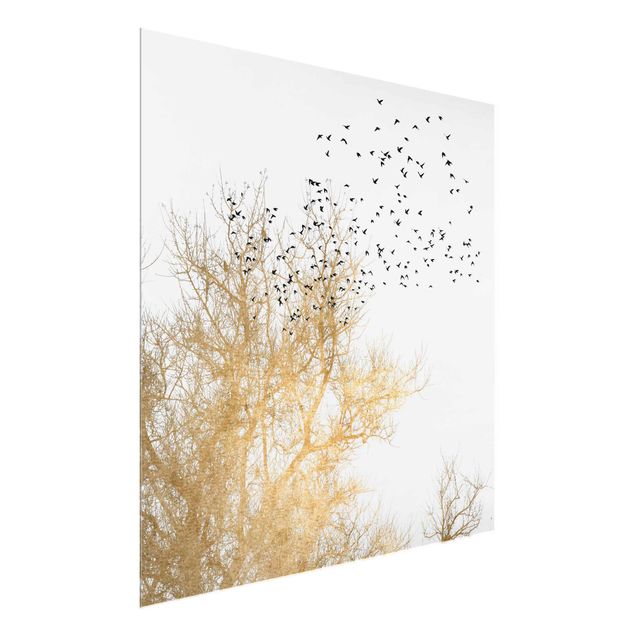 Glass print - Flock Of Birds In Front Of Golden Tree