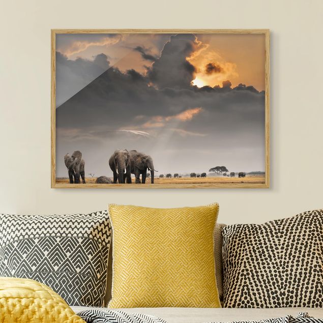 Framed poster - Elephants in the Savannah