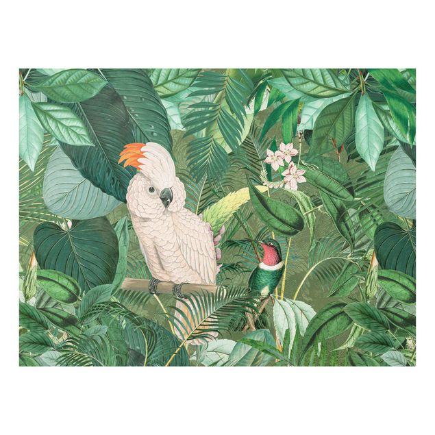 Glass print - Vintage Collage - Kakadu And Hummingbird