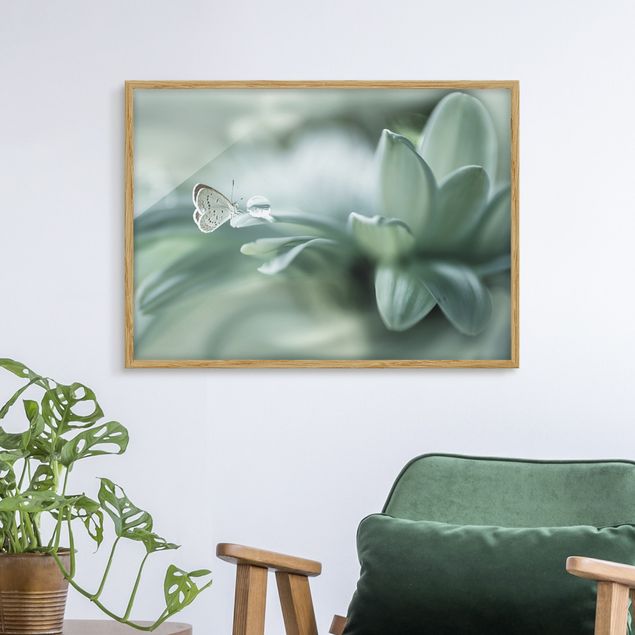 Framed poster - Butterfly And Dew Drops In Pastel Green