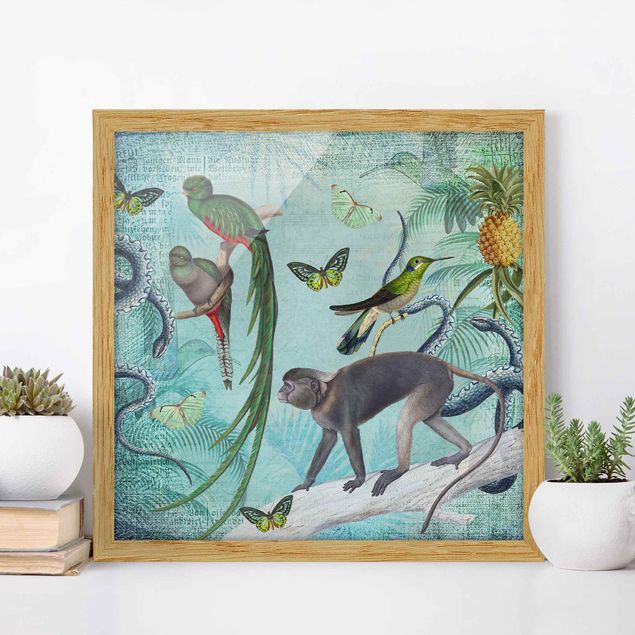 Framed poster - Colonial Style Collage - Monkeys And Birds Of Paradise