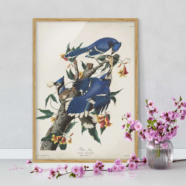 Framed poster - Vintage Board Blue Jays