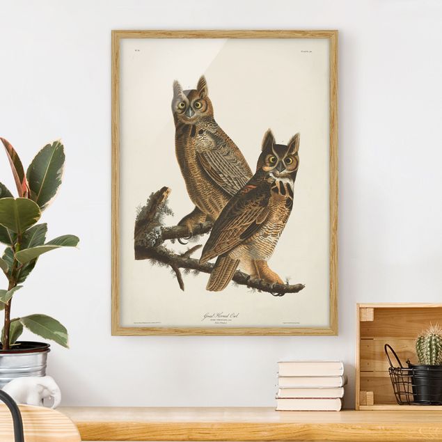 Framed poster - Vintage Board Two Large Owls