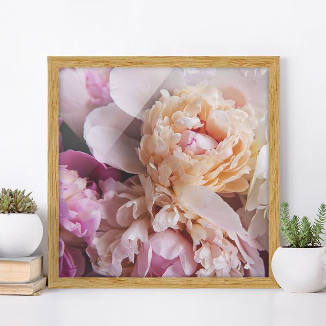 Framed poster - Blooming Peonies
