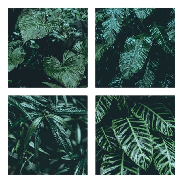 Print on canvas - Tropical Plants