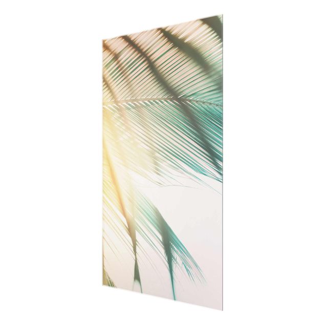 Glass print - Tropical Plants Palm Trees At Sunset II