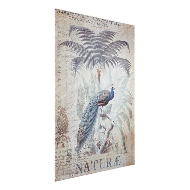 Glass print - Shabby Chic Collage - Peacock