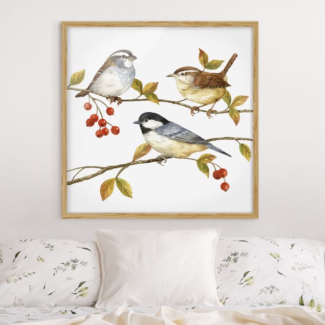 Framed poster - Birds And Berries - Tits