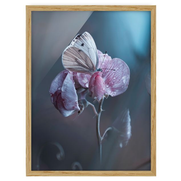 Framed poster - Butterfly In The Rain